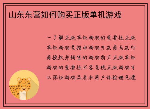 山东东营如何购买正版单机游戏
